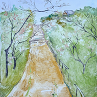 Apricot Alley